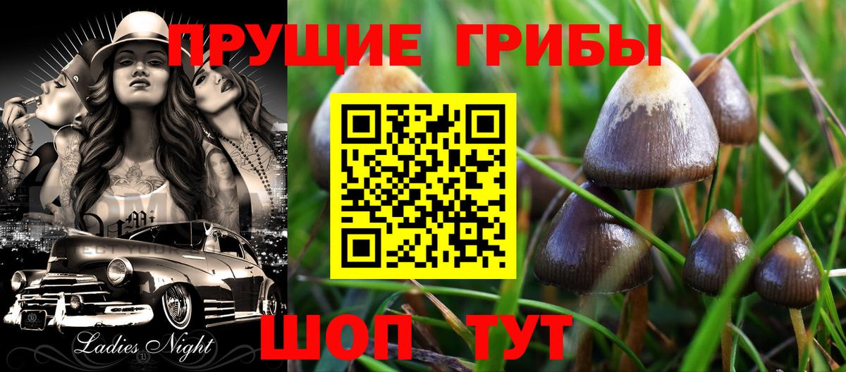 Галлюциногенные грибы Cubensis  Вход с VPN  как найти закладки  Нижнекамск  Псилоцибиновые грибы ЛСД 